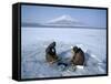 Frozen Lake with Fishermen, Lake Yamanaka, Mount Fuji, Honshu, Japan-null-Framed Stretched Canvas