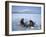 Frozen Lake with Fishermen, Lake Yamanaka, Mount Fuji, Honshu, Japan-null-Framed Premium Photographic Print