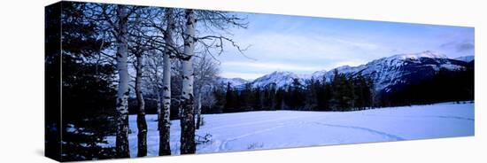 Frozen Lake with Mountains in the Background, Colin Range, Jasper National Park, Alberta, Canada-null-Stretched Canvas