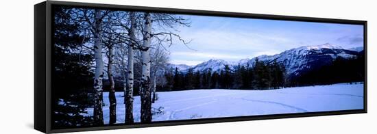 Frozen Lake with Mountains in the Background, Colin Range, Jasper National Park, Alberta, Canada-null-Framed Stretched Canvas