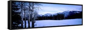 Frozen Lake with Mountains in the Background, Colin Range, Jasper National Park, Alberta, Canada-null-Framed Stretched Canvas