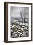 Frozen Lake-null-Framed Premium Giclee Print