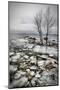 Frozen Lake-null-Mounted Premium Giclee Print