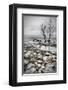 Frozen Lake-null-Framed Premium Giclee Print