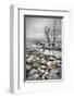 Frozen Lake-null-Framed Premium Giclee Print