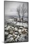 Frozen Lake-null-Mounted Premium Giclee Print