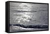 Frozen Lake-Yuinai-Framed Stretched Canvas