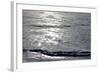 Frozen Lake-Yuinai-Framed Photographic Print