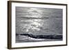 Frozen Lake-Yuinai-Framed Photographic Print