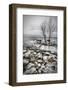 Frozen Lake-Vedran Vidak-Framed Photographic Print