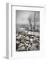 Frozen Lake-Vedran Vidak-Framed Photographic Print