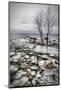Frozen Lake-Vedran Vidak-Mounted Photographic Print