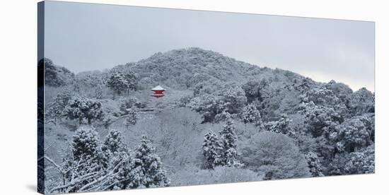 Frozen landscape in Kiyomizu-dera temple, Kyoto, Japan, Asia-Damien Douxchamps-Stretched Canvas