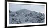 Frozen landscape in Kiyomizu-dera temple, Kyoto, Japan, Asia-Damien Douxchamps-Framed Photographic Print