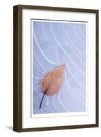 Frozen Leaf in Ice-Donald Paulson-Framed Giclee Print