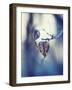 Frozen Love-Anette Schive-Framed Photographic Print