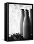 Frozen Milk Bottles-null-Framed Stretched Canvas