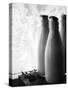 Frozen Milk Bottles-null-Stretched Canvas