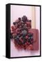 Frozen Mixed Berries-Eising Studio - Food Photo and Video-Framed Stretched Canvas