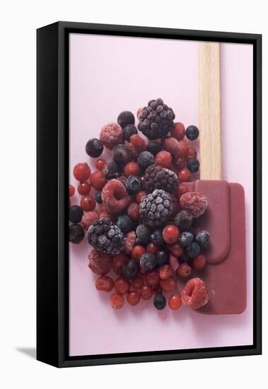 Frozen Mixed Berries-Eising Studio - Food Photo and Video-Framed Stretched Canvas