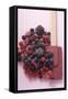 Frozen Mixed Berries-Eising Studio - Food Photo and Video-Framed Stretched Canvas