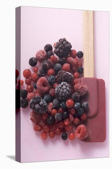Frozen Mixed Berries-Eising Studio - Food Photo and Video-Stretched Canvas