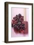 Frozen Mixed Berries-Eising Studio - Food Photo and Video-Framed Photographic Print