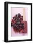 Frozen Mixed Berries-Eising Studio - Food Photo and Video-Framed Photographic Print