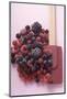 Frozen Mixed Berries-Eising Studio - Food Photo and Video-Mounted Photographic Print