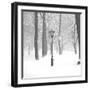 Frozen Moment-Hakan Strand-Framed Giclee Print