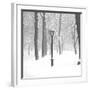 Frozen Moment-Hakan Strand-Framed Giclee Print