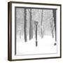 Frozen Moment-Hakan Strand-Framed Giclee Print