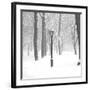 Frozen Moment-Hakan Strand-Framed Giclee Print