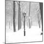 Frozen Moment-Hakan Strand-Mounted Giclee Print