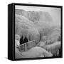 Frozen Niagara Falls, Trees, Park Grounds and Rocks Covered with Ice and Mist-Andreas Feininger-Framed Stretched Canvas