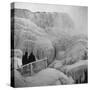 Frozen Niagara Falls, Trees, Park Grounds and Rocks Covered with Ice and Mist-Andreas Feininger-Stretched Canvas