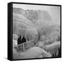 Frozen Niagara Falls, Trees, Park Grounds and Rocks Covered with Ice and Mist-Andreas Feininger-Framed Stretched Canvas