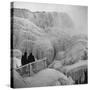 Frozen Niagara Falls, Trees, Park Grounds and Rocks Covered with Ice and Mist-Andreas Feininger-Stretched Canvas