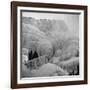 Frozen Niagara Falls, Trees, Park Grounds and Rocks Covered with Ice and Mist-Andreas Feininger-Framed Photographic Print