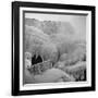 Frozen Niagara Falls, Trees, Park Grounds and Rocks Covered with Ice and Mist-Andreas Feininger-Framed Photographic Print