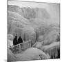 Frozen Niagara Falls, Trees, Park Grounds and Rocks Covered with Ice and Mist-Andreas Feininger-Mounted Photographic Print