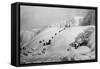 Frozen Niagara Falls-null-Framed Stretched Canvas