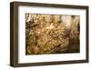 Frozen plant branches with bokeh on nature background-Paivi Vikstrom-Framed Photographic Print