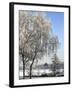 Frozen Pond in Park Landscape with Birch Trees Covered in Hoarfrost, Belgium-Philippe Clement-Framed Photographic Print