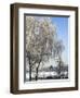 Frozen Pond in Park Landscape with Birch Trees Covered in Hoarfrost, Belgium-Philippe Clement-Framed Photographic Print