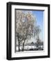 Frozen Pond in Park Landscape with Birch Trees Covered in Hoarfrost, Belgium-Philippe Clement-Framed Photographic Print