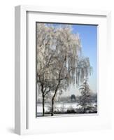 Frozen Pond in Park Landscape with Birch Trees Covered in Hoarfrost, Belgium-Philippe Clement-Framed Photographic Print