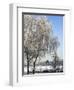 Frozen Pond in Park Landscape with Birch Trees Covered in Hoarfrost, Belgium-Philippe Clement-Framed Photographic Print