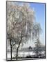 Frozen Pond in Park Landscape with Birch Trees Covered in Hoarfrost, Belgium-Philippe Clement-Mounted Photographic Print