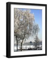 Frozen Pond in Park Landscape with Birch Trees Covered in Hoarfrost, Belgium-Philippe Clement-Framed Photographic Print